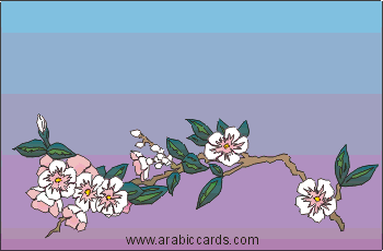 Merci Hamid pour ton cadeau nhabek ya sara